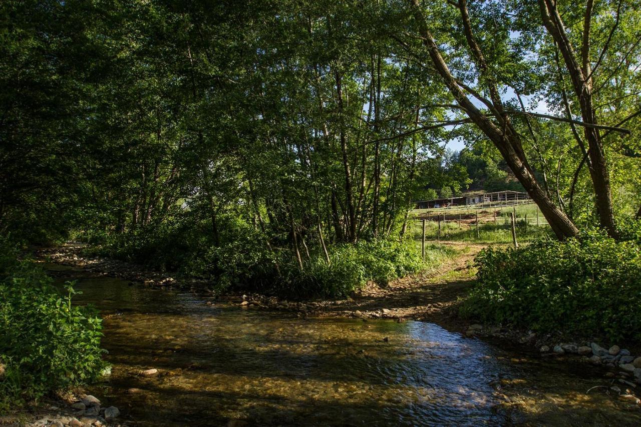 Agriturismo Borgo Serafino Mangone  Екстериор снимка